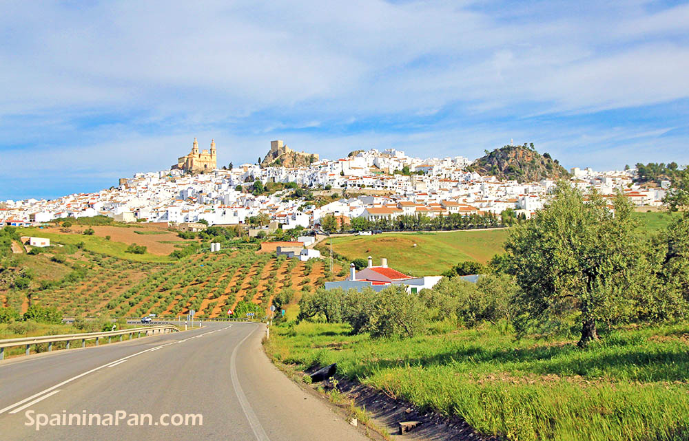 The village of Olvera, Andalucia