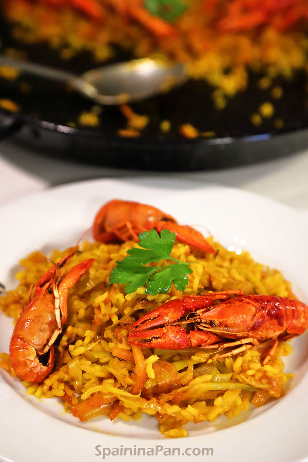 Spanish crayfish paella on a plate.