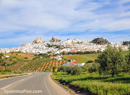 Whitewashed Olvera, Andalusia town on a hill surrounded by olive tree fields.