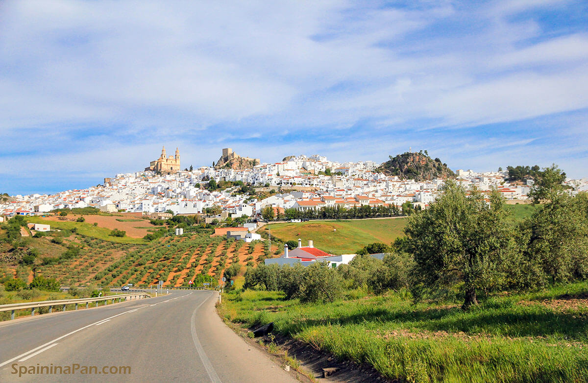 Whitewashed Olvera, Andalusia town on a hill surrounded by olive tree fields.