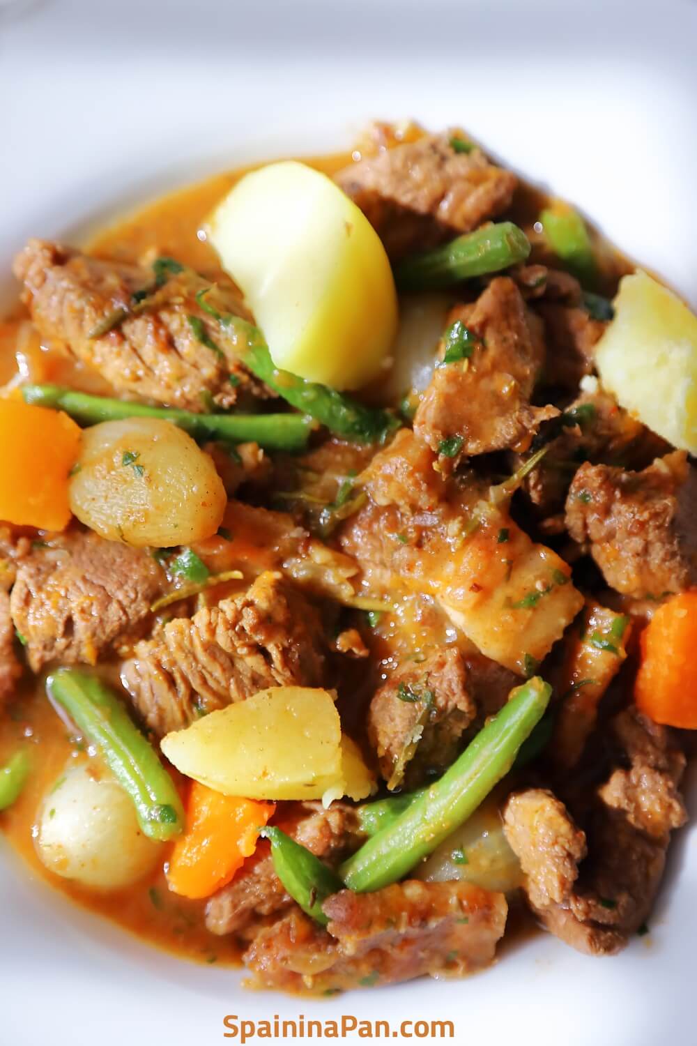 Spanish beef with pumpkin stew on a plate.