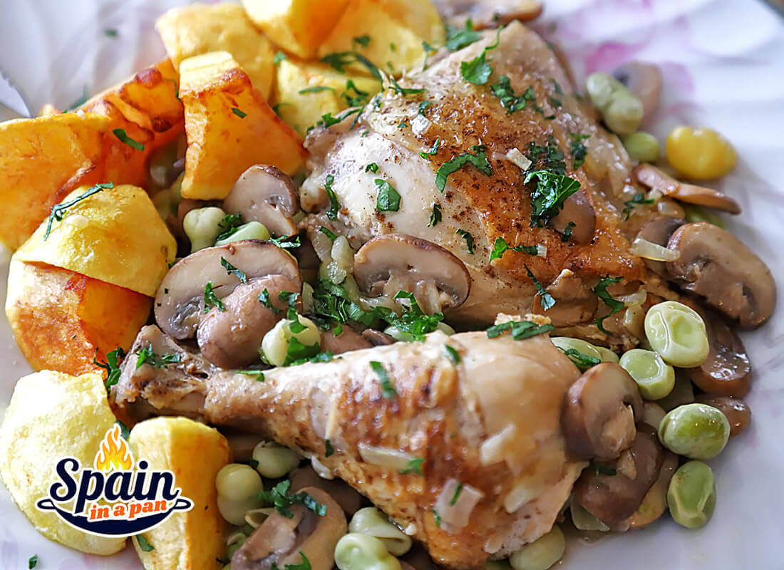 Spanish chicken and beans with mushrooms stew on a plate.