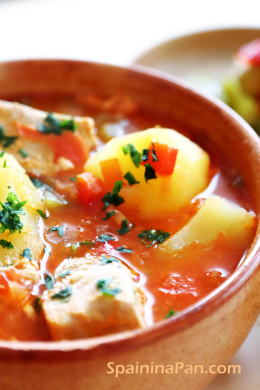Spanish marmitako tuna potato stew in a bowl..
